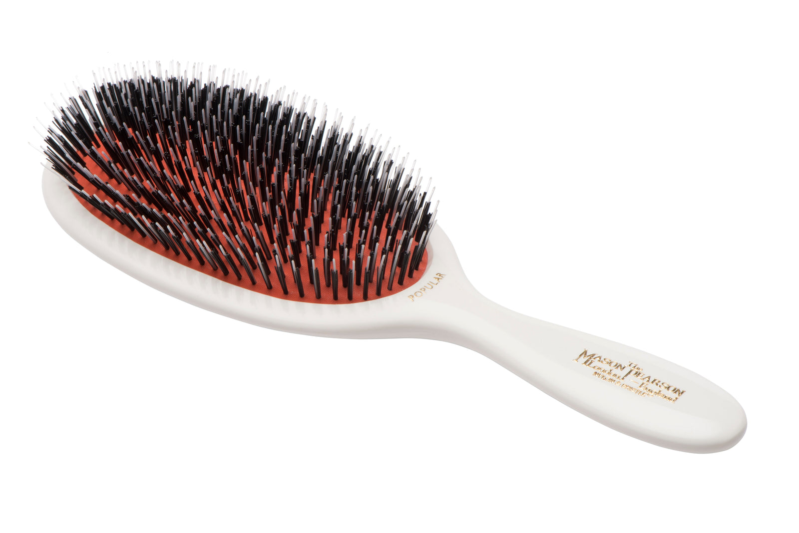 Large Mason Pearson Pure Bristle & Nylon Hair Brush (BN1 Popular)