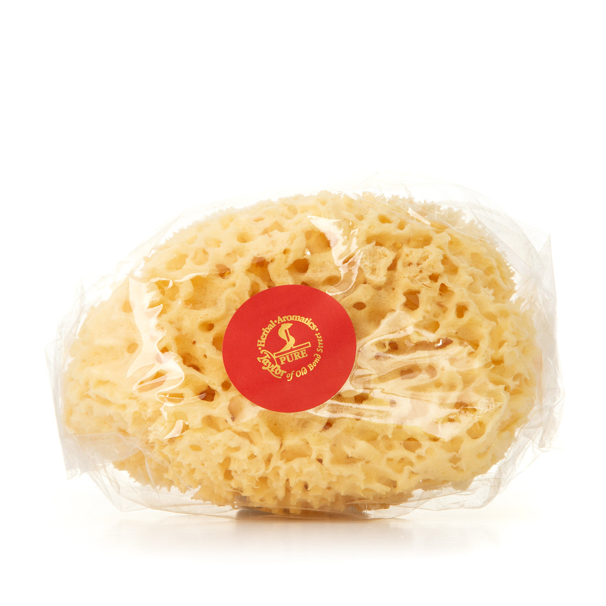Medium Sponge