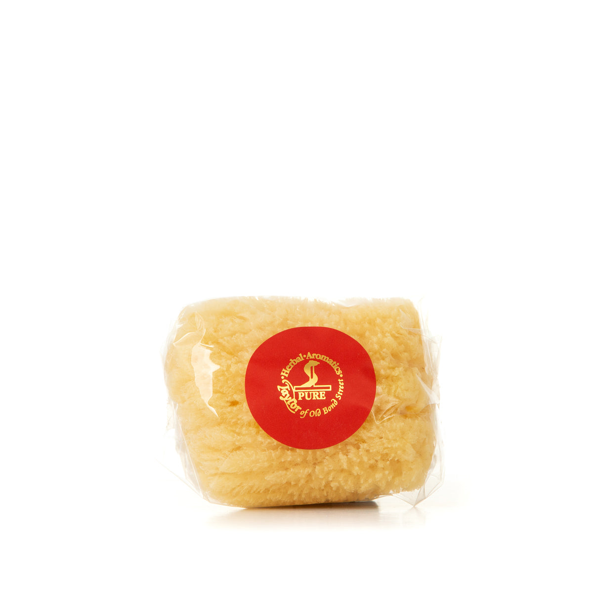 Small Sponge